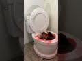 WOLRDS LARGEST TOILET SWIMMING IN RED POOL with GIRLFRIEND