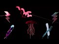 The Marvelous World of Microbes Trailer