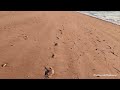 Walking on the Beach enjoying Sundown Darwin Cullen Bay Beach Northern Territory Australia 🇦🇺 2024