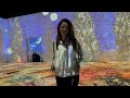 Van Gogh - Immersive Exhibit