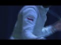 Olympic Semi Rematch | Garozzo v Safin | Men's Foil Fencing | 2017 European Championships FINAL