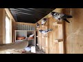 Visit Both My Pigeon Lofts & Try New Trick!