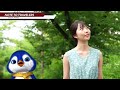 How to enjoy your trip to Japan in August【English audio】