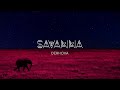 DerHova - Savanna (Audio)