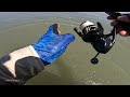 IMPOSIBLE este señuelo se volvio el MEJOR para sacar LOBINAS | Lago de Chapala