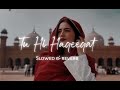 Tu Hi Haqeeqat [Slowed and Reverb ] Javed Ali | Tum Mile