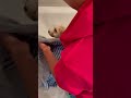 FULL Video of mini bath 🧽