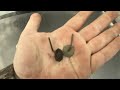 Hidden treasures: Metal detecting finds in the historical sites of Alabama Equinox 700