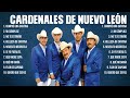 Las 10 mejores canciones de Cardenales de Nuevo León 2024