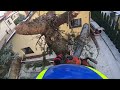 Tree removal - wycinka drzewa