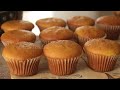 Make 12 Bakery Style Cupcakes with Only 2 Eggs 😍 Recipe By Chef Hafsa