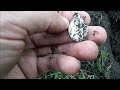 Buried Silver Coins and Relics from Metal Detecting a Park!