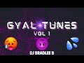 GYAL TUNES VOL 1 [EXPLICIT] | DJ BRADLEE B | MOODDD MIXX!!! ♨️