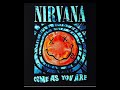 Nirvana come as you are cover
