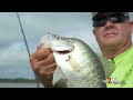 How to Catch Crappies in Standing Timber