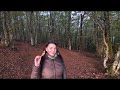 🍂Due Giorni Sui Nebrodi 🍂  Silent Vlog #vlog #nebrodi #travelvlog #autumnvlog #fallvlog #trees#woods