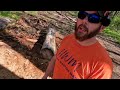 Eastonmade 12-22 6-Way Wedge Splitting Oak Firewood