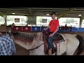 Matthew's 1st horse ride