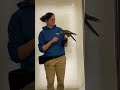 The time I held an Aplomado Falcon at Tracy Aviary