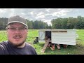 Mobile pasture LAYER SHELTER with homemade ROLLAWAY NEST BOX. .