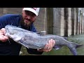 This 50 foot Hole is loaded with Catfish! below the Dam