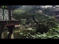 Deep Sleep In A Korea Palace Natural Ambience🌙Fall Asleep To Falling Natural Sounds l 잠 잘 오는 자연 ASMR