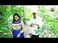 జీరో బడ్జెట్ వ్యవసాయం జీవితకాలం ఆదాయం | Hari Babu Agro Farms - ABN Agri