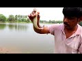 Fishing Video || Fishing is an addiction that exists among village boys || Best hook fishing