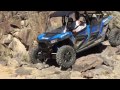 RZR XP4 1000