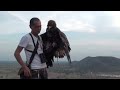 Golden Eagle Training