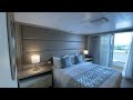 Princess Cruises Wheelchair Accessible Cabin Tour