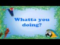 Teach your Parrot to say Whatta you doing?