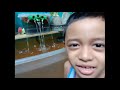 MINI POND WATER FILTER (Home quarantine activity with Eleon&Dale)
