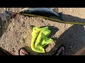 Striped Bass Bottom Baits with Anchovies at San Luis Res 5-12-2024