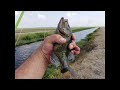 Ditch Fishing, Catching Black Crappie