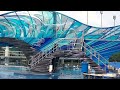 Tilikum pushes gate open - August 14, 2015 - SeaWorld Orlando