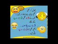 Urdu Latifa Miya biwi latest jokes | New Urdu Latifa | Mehroz chitrali