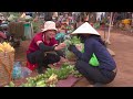 Harvesting Banana , Lychee Fruit Go to the market to sell  Lucia Daily Life