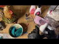 ASMR Organizing nail kit bags! (No talking) Cleaning heavy plastic with latex gloves/Water & windex!