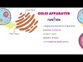 CELL Structure & Function in detail || cell organelle || CELL BIOLOGY|| cytoplasm nucleus Golgi body