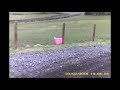 My New Autograss Car Testing