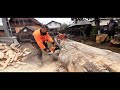 Ms 500i Stihl with 20 inch bar