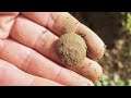 Epic Metal Detecting Finds - World War I Treasures! #metaldetecting  #metaldetectingforum  #treasure