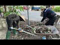 Mrs  Lao has had back pain for more than a year but no one helps clean up the grass and trash in fro