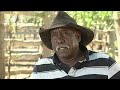 Cowboy heroes: wild times on Indigenous cattle station | First Nation Farmers Ep3 | ABC Australia