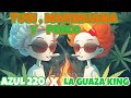 TUSI , MARIHUANA Y PERCO 💊 (AZUL 220  FT LA GUAZA KING )  by. DJ leury.    patr: CÓDIGO LTS TV