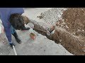Digging to change the sewer pipe connection p2