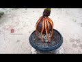 UNLOCKING COCONUT BONSAI GROUND ON THE STONE | The root result...