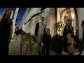 Cash 2.0 Great Dane on Rodeo Drive in Beverly Hills 57