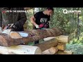 Two Brothers Build Amazing Log Cabin Off Grid From Scratch | by @lifeinthesiberianforest1